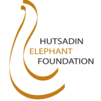 Hutsadin Elephant Foundation